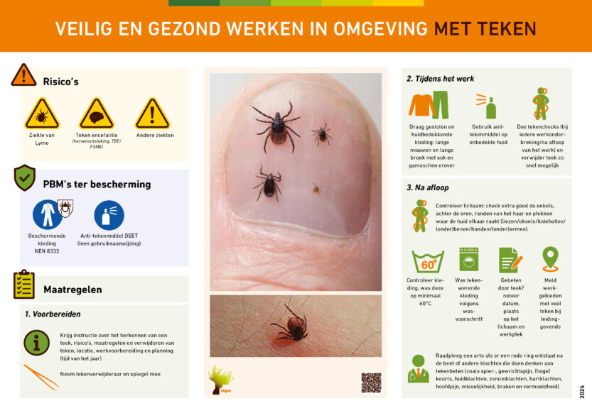 Week van de Teek - infosheet