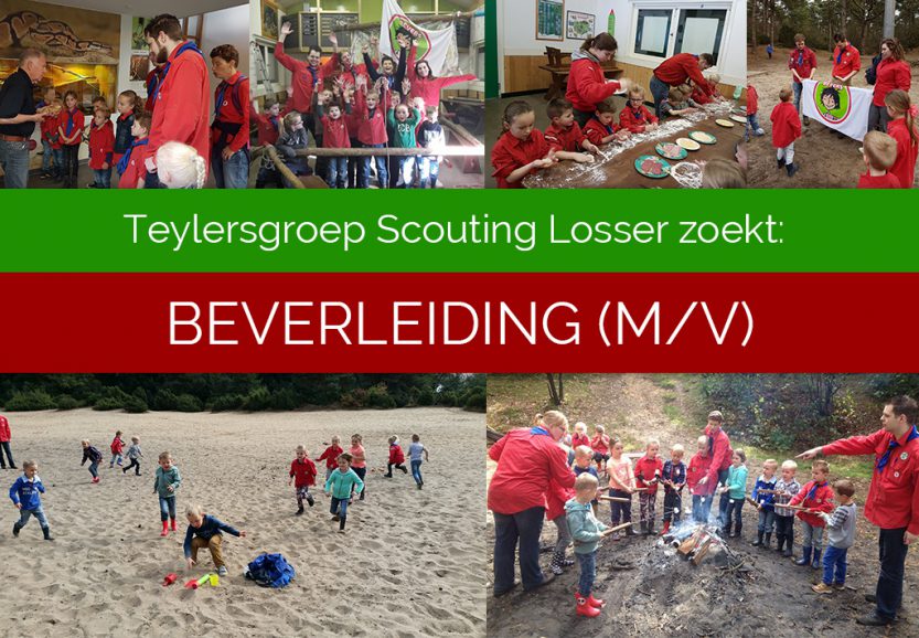 De Teylersgroep zoekt nieuwe beverleiding